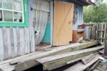 Операция «Шарик»: пропавший без вести в наводнение преданный пес охраняет дом в Норске