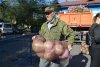 В Белогорске начали выдавать бесплатные овощи пострадавшим от ЧС 