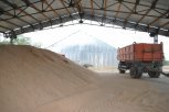 Уборка ранних зерновых вышла на финиш: амурские аграрии собрали 308 тысяч тонн урожая