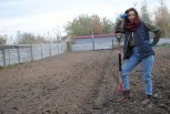 Октябрьские заботы: журналист АП закрыла огородный сезон и приготовила почву для следующего