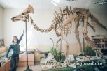 Край космоса и динозавров: московское пиар-агентство выпустило путеводитель по Амурской области