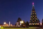 Главную новогоднюю елку Благовещенска зажгут 23 декабря