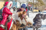Амурчан приглашают на новогоднее конное представление