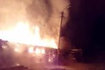 Конюшня с лошадьми сгорела в Зейском районе (видео)