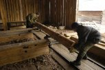 По дрова: что мешает развивать лесную промышленность в Амурской области