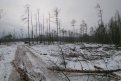 Фото: пресс-служба Министерства лесного хозяйства и пожарной безопасности Амурской области