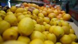 «Ажиотаж на лимоны — это анекдот»: врачи опровергли фейки о чудодейственных свойствах цитруса