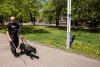 Помогите поводырям: «Амурская правда» ищет спонсоров для пяти незрячих инвалидов и их собак