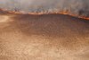 Лесные пожары на севере Амурской области удалось взять в «кольцо»
