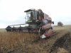 Уборка ранних зерновых в Амурской области вышла на финишную прямую