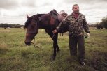 Выйду в поле с конем: бизнесмен из Пояркова разводит лошадей, чтобы отдохнуть от работы