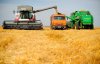 Главу амурского сельхозкооператива осудили за подделку документов для многомиллионных субсидий