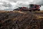 Ученые: «Амурская область — в лидерах по угрозе гибели урожая из-за паводков и дождей»