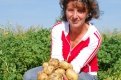Чтобы был хороший урожай, на участке должно быть не меньше трех сортов картофеля.