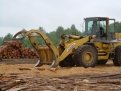 Предприятия, занимающиеся лесозаготовкой, продолжают работать, в том числе — за счет банковского кре