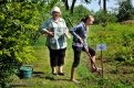 Посадить плодово-ягодный кустарник и рассказать о садовых вредителях — главные задачи конкурса.