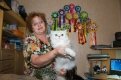 Ирина Яковенко вырастила не одного кошачьего чемпиона.