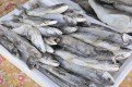 Замороженная рыба в магазинах областного центра за неделю потеряла в цене почти 2,5 рубля.