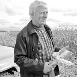 В Приамурье наступит кукурузный «ренессанс»